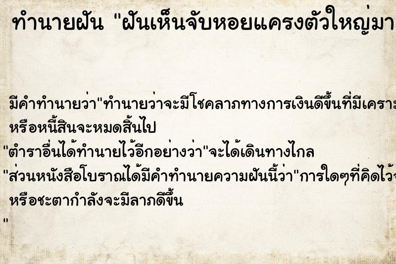 ทำนายฝัน ฝันเห็นจับหอยแครงตัวใหญ่มา 